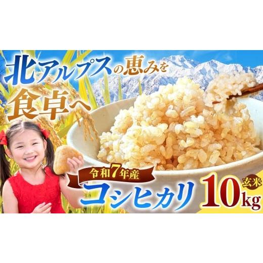 ふるさと納税 玄米 長野県 松川村 コシヒカリ 玄米 約10kg 令和7年産 | 米 こめ コメ お米 玄米 コシヒカリ 長野県 松川村 信州 令和7年産 コシヒカリ 玄米 約…
