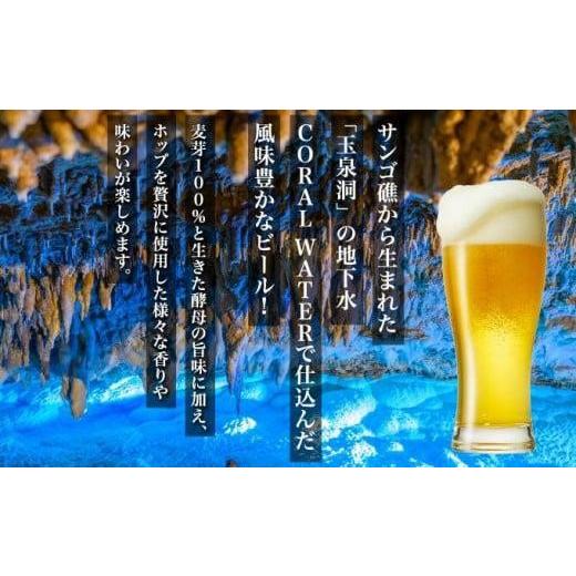 ふるさと納税 ビール 沖縄県 南城市 沖縄サンゴビール 定番3種 6本セット I クラフトビール 人気 地元 ビール 飲み比べ ギフト用 お土産 お酒 6本 沖縄県 南城…_2