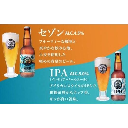 ふるさと納税 ビール 沖縄県 南城市 沖縄サンゴビール 定番3種 6本セット I クラフトビール 人気 地元 ビール 飲み比べ ギフト用 お土産 お酒 6本 沖縄県 南城…_4