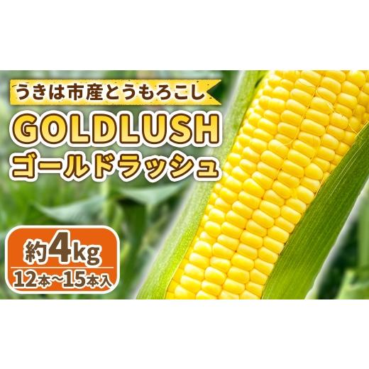 ふるさと納税 とうもろこし 福岡県 うきは市 先行予約 とうもろこし ゴールドラッシュ 12本〜15本入 ( 約4kg ) フルーツコーン 甘い 野菜 トウモロコシ 冷…