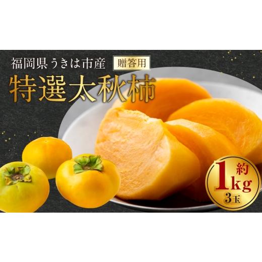 ふるさと納税 果物類 柿 福岡県 うきは市 特選太秋柿 3玉 ( 約1kg ) 贈答用 ギフト 太秋柿 柿 フルーツ 果物 ギフト 完熟 2026年11月上旬〜12月上旬発送予定…