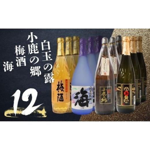 ふるさと納税 焼酎 いも 鹿児島県 錦江町 No.5070 白玉の露・梅酒・小鹿の郷・海 (4合瓶)12本セット