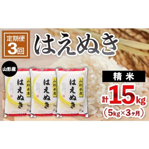 ふるさと納税 米 はえぬき 山形県 山形市 定期便3回 山形産 はえぬき 5kg×3ヶ月(計15kg) FY25-483