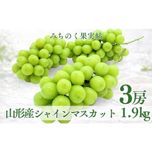 ふるさと納税 ぶどう マスカット 山形県 山形市 みちのく果実帖 シャインマスカット3房 約1.9kg 令和8年産先行予約 FS25-151