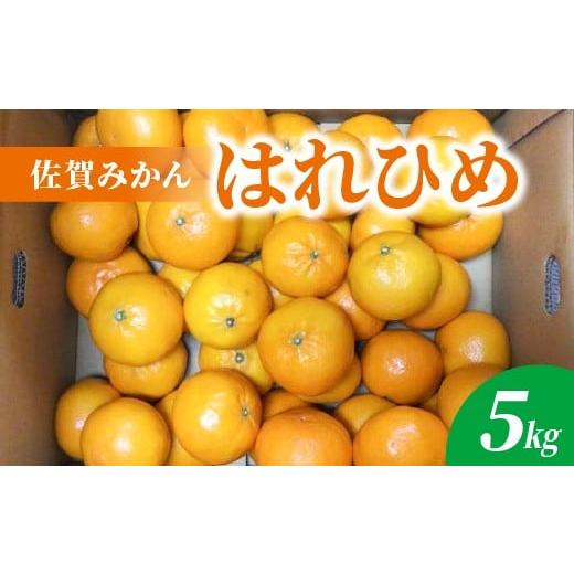 ふるさと納税 みかん・柑橘類 佐賀県 多久市 はれひめ 5kg _b-499