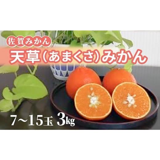 ふるさと納税 みかん・柑橘類 佐賀県 多久市 天草(あまくさ)みかん 7〜15玉 3kg(化粧箱入り) _c-142