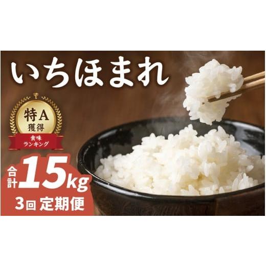 ふるさと納税 米 福井県 南越前町 3ヶ月連続お届け 農家直送 令和7年産 いちほまれ 5kg×1袋×3ヶ月(計15kg) 特別栽培米 福井 ブランド米 令和七年 5キロ …