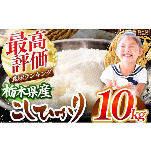 ふるさと納税 米 コシヒカリ 栃木県 矢板市 栃木県産コシヒカリ白米 10kg 栃木県共通返礼品 10kg | 19,500円