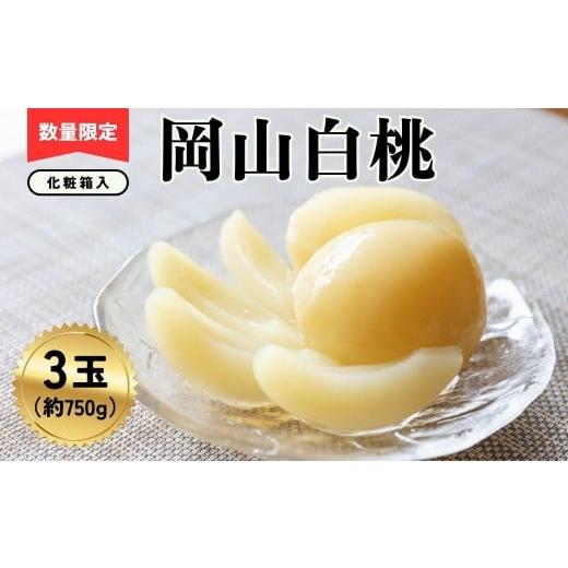 ふるさと納税 もも 岡山県 鏡野町 岡山白桃3玉(計約750g)化粧箱入