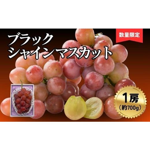 ふるさと納税 ぶどう マスカット 岡山県 鏡野町 ブラックシャインマスカット1房(700g)