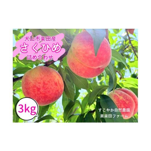 ふるさと納税 もも 愛知県 犬山市 22-22_ 2026年先行予約 犬山市楽田産 桃(さくひめ)3kg | 桃 甘い 詰め合わせ 3kg さくひめ 美楽田ファーム すこやか自然…