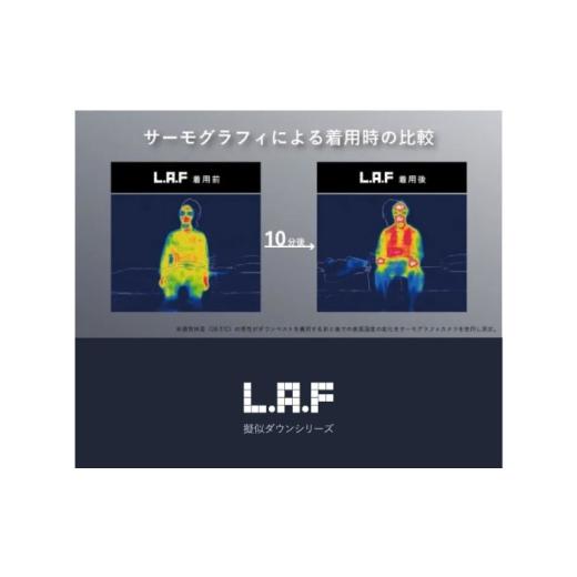 ふるさと納税 服 男 広島県 福山市 ベスト 洗えるダウンベスト「L・A・F」 Lサイズ 毎日使えるエシカルダウンベスト 広島県福山市／イシケン株式会社 ダウンベ…_3