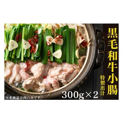 ふるさと納税 牛肉 焼肉・バーベキュー 神奈川県 川崎市 黒毛和牛トロホルモン(小腸) 特製だし0.6kg ( 300g ×2パック ) 2026年10月発送 2026年10月発送