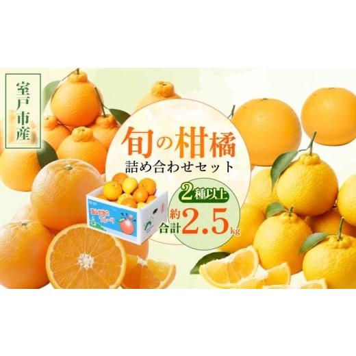 ふるさと納税 果物の詰合せ 高知県 室戸市 柑橘 詰め合わせ 2.5kg 訳あり 旬 食べ比べ 2種以上 セット ミカン みかん 蜜柑 ポンカン ぽんかん せとか デコポン…
