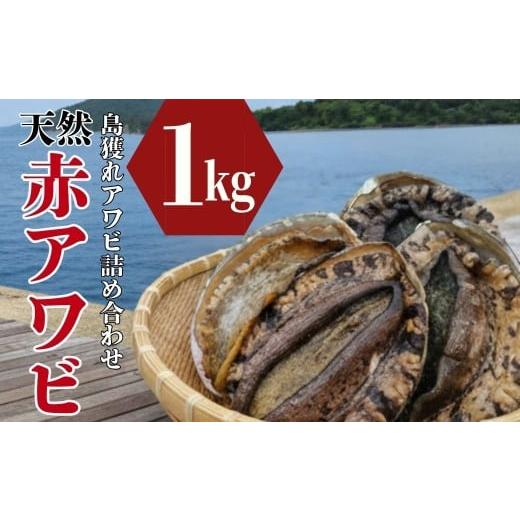 ふるさと納税 魚貝類 アワビ 島根県 海士町 2月限定/ 数量限定 海士町産活あわび(赤鮑)1kg 鮑 アワビ あわび 赤鮑 魚介 お刺身 BBQ バター焼き 新鮮 日本