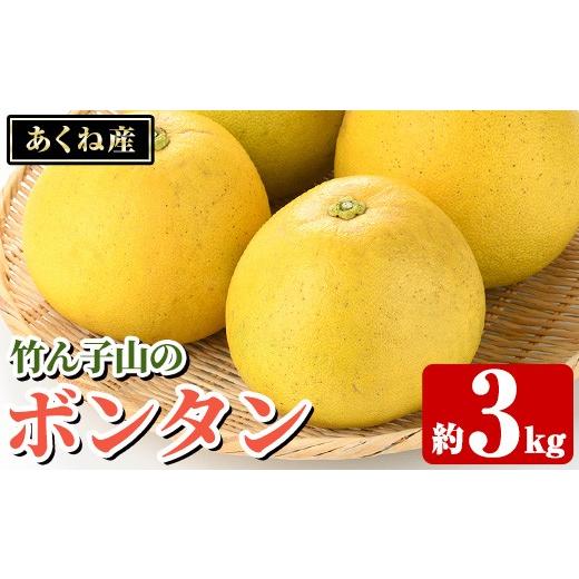 ふるさと納税 みかん・柑橘類 鹿児島県 阿久根市 先行予約受付中 2027年1月上旬以降順次発送予定 竹ん子山のボンタン(約3kg) 国産 鹿児島県産 阿久根産 柑橘 …