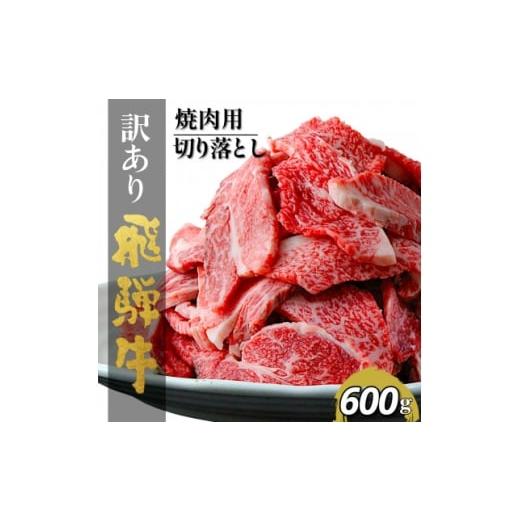 ふるさと納税 牛肉 焼肉・バーベキュー 岐阜県 輪之内町 訳あり 飛騨牛切り落し焼肉用600g 1710029
