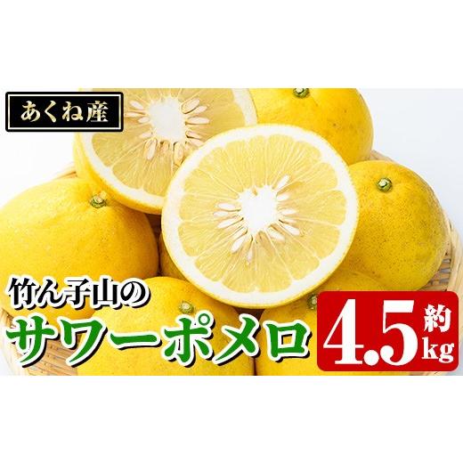 ふるさと納税 みかん・柑橘類 鹿児島県 阿久根市 先行予約受付中 2027年1月上旬以降順次発送予定 竹ん子山のサワーポメロ(約4.5kg) 国産 鹿児島県産 阿久根産…