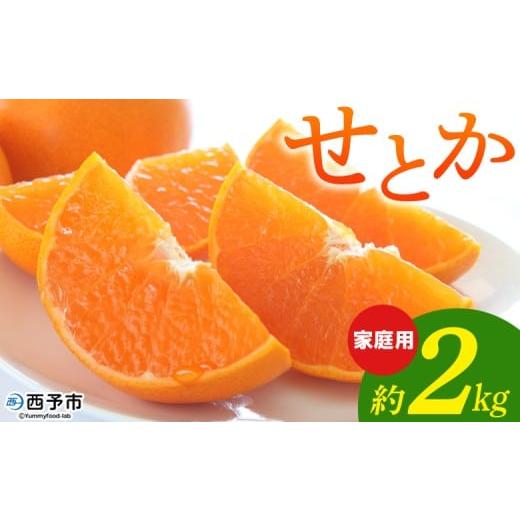ふるさと納税 果物類 みかん 愛媛県 西予市 せとか 家庭用 約2kg 柑橘 みかん ミカン 蜜柑 果物 くだもの ジューシー 甘い なめらか フルーツ セトカ 訳あり …