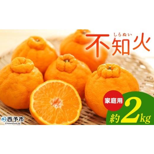 ふるさと納税 果物類 みかん 愛媛県 西予市 不知火 家庭用 約2kg 柑橘 みかん ミカン 蜜柑 果物 くだもの フルーツ しらぬい シラヌイ デコポン でこぽん 訳…