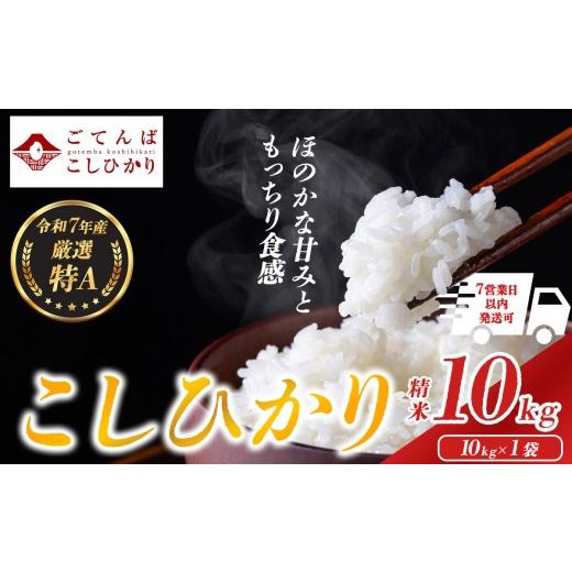 ふるさと納税 米 コシヒカリ 静岡県 小山町 令和7年産 精米 10kg コシヒカリ │ 米 こめ お米 こしひかり 10キロ 静岡県産 国産 厳選 特A 令和7年度産 蔵出し …