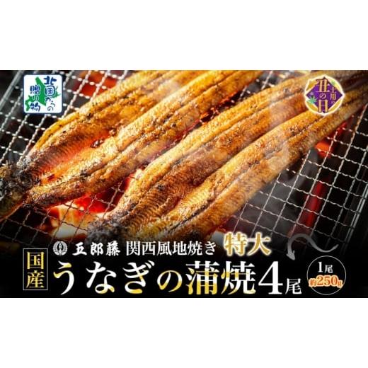 ふるさと納税 うなぎ 大阪府 泉佐野市 7/26土用の丑の日 国産有頭旨鰻 250g×4尾 特大サイズ 関西風地焼き 老舗 五郎藤 うなぎ 1kg 小分け unagi ひつまぶし…
