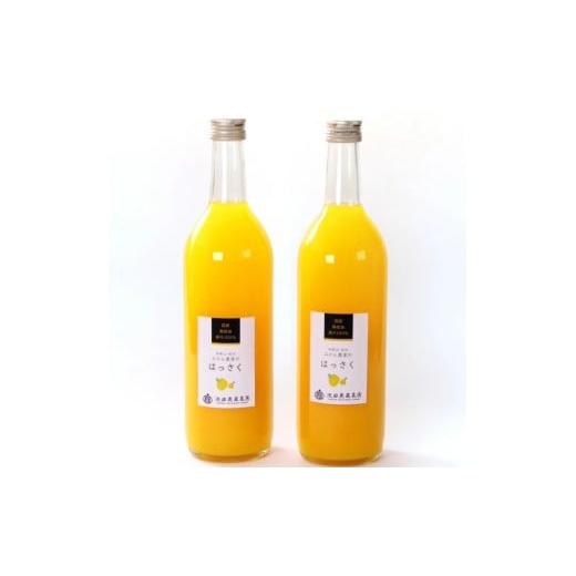 ふるさと納税 果汁飲料 みかん 和歌山県 すさみ町 無添加はっさくジュース720ml×2本