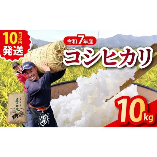 ふるさと納税 米 コシヒカリ 京都府 亀岡市 令和7年産 京都丹波産 米 こしひかり 精米 10kg × 1袋 京都丹波カントリー 白米 米 お米 こめ コメ ライス ご飯 …