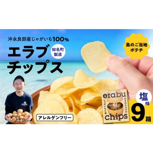 ふるさと納税 菓子 スナック 鹿児島県 知名町 erabu chips(塩) 9箱セット C068-001-09