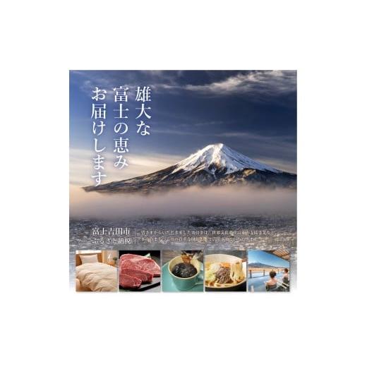 ふるさと納税 水・ミネラルウォーター 500mL〜999mL 山梨県 富士吉田市 富士山の麗水 500ml 96本 富士山 天然水 富士山の麗水 水 ミネラルウォーター 防災 …の画像