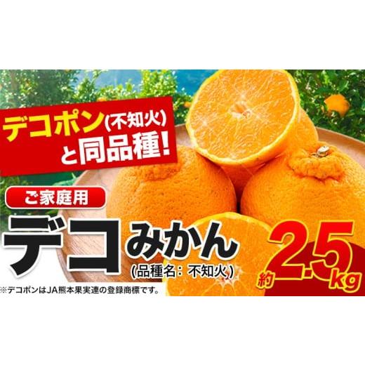 ふるさと納税 果物類 みかん 熊本県 荒尾市 不知火 デコみかん ( デコポン と同品種 ) ご家庭用 訳あり 熊本県産 ( 荒尾市産含む ) 約2.5kg(12-24玉前後) 柑橘…