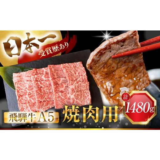 ふるさと納税 牛肉 モモ 岐阜県 大垣市 飛騨牛 A5 焼肉用 モモ肉又はカタ肉又はバラ肉 1480g バラ カルビ 肩肉 部位 おまかせ 厳選部位 A5等級 A5ランク 牛肉 …