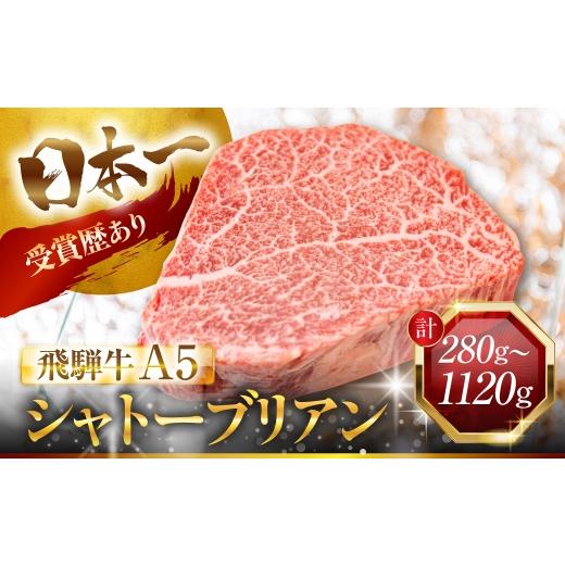 ふるさと納税 牛肉 ヒレ 岐阜県 大垣市 ＼最高級／ 飛騨牛 A5 シャトーブリアン 6枚 計840g ヒレ ヒレステーキ フィレ フィレステーキ A5等級 A5ランク 牛肉 …