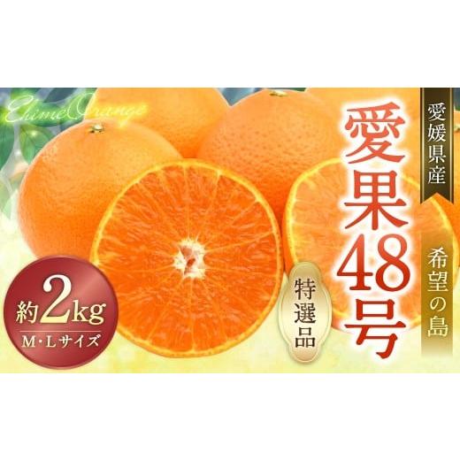 ふるさと納税 果物類 みかん 愛媛県 - 希望の島 愛果48号 特選品 中玉 2kg 愛媛県 松山市 中島産(1022) 2026年3月下旬〜4月下旬迄順次発送予定 みかん 特選…