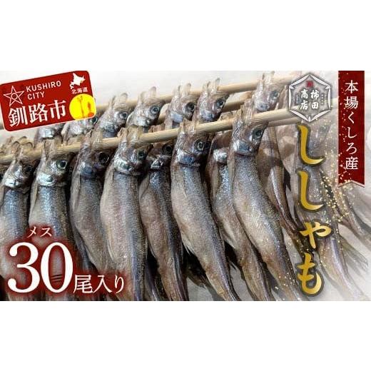 ふるさと納税 魚貝類 ししゃも 北海道 釧路市 本場くしろ産 ししゃもメス30尾入り 本ししゃも 魚 ししゃも 魚好きのメス プチプチたまごのメス 魚介 グルメ シ…