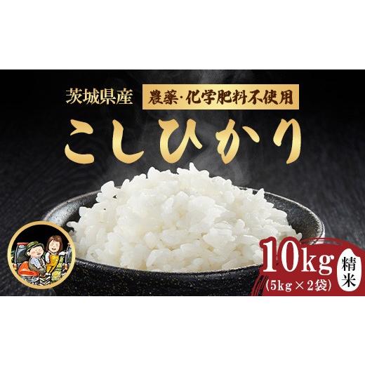 ふるさと納税 米 茨城県 茨城町 743 茨城県産 こしひかり 10kg (5kg×2袋) 農薬・化学肥料不使用 令和7年産 精米 米農家もろちゃん