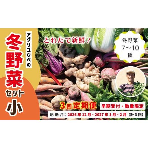 ふるさと納税 セット・詰合せ 高知県 四万十市 3回定期便 早期受付 数量限定 アグリユウベの冬野菜セット (小) とれたて 新鮮 農家直送 国産 野菜 野菜便 や…