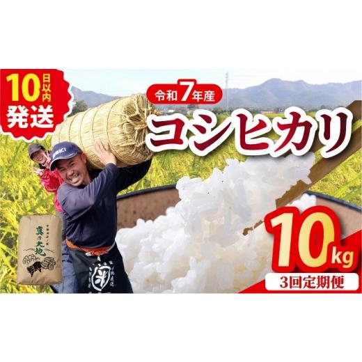 ふるさと納税 米 コシヒカリ 京都府 亀岡市  3回定期便 京都丹波産 こしひかり 精米 10kg × 3回 定期便 京都丹波カントリー 白米 米 お米 こめ コメ ライス …の画像