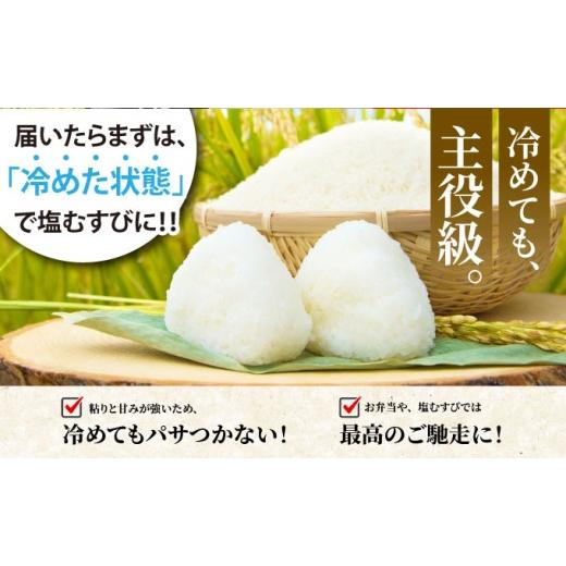 ふるさと納税 米 コシヒカリ 京都府 亀岡市  3回定期便 京都丹波産 こしひかり 精米 10kg × 3回 定期便 京都丹波カントリー 白米 米 お米 こめ コメ ライス …の画像