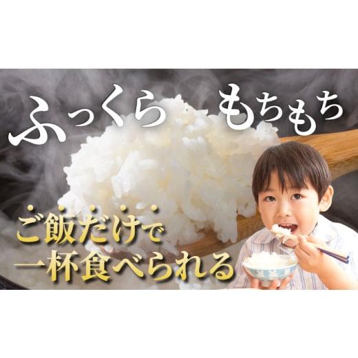 ふるさと納税 米 コシヒカリ 京都府 亀岡市  3回定期便 京都丹波産 こしひかり 精米 10kg × 3回 定期便 京都丹波カントリー 白米 米 お米 こめ コメ ライス …の画像