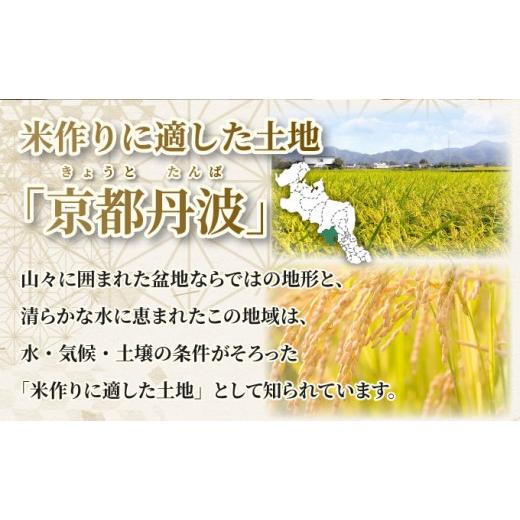 ふるさと納税 米 コシヒカリ 京都府 亀岡市  3回定期便 京都丹波産 こしひかり 精米 10kg × 3回 定期便 京都丹波カントリー 白米 米 お米 こめ コメ ライス …の画像