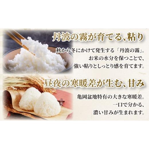 ふるさと納税 米 コシヒカリ 京都府 亀岡市  3回定期便 京都丹波産 こしひかり 精米 10kg × 3回 定期便 京都丹波カントリー 白米 米 お米 こめ コメ ライス …の画像