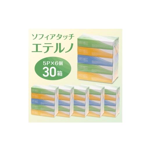 ふるさと納税 雑貨・日用品 静岡県 富士宮市 0007-107-01 マスコー製紙 ソフィアタッチ エテルノ ティッシュペーパー 150組×5箱×6パック (30箱)