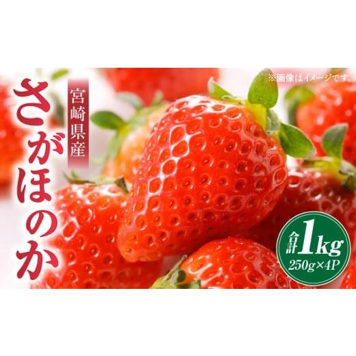 ふるさと納税 いちご 宮崎県 宮崎市 [2026年発送] 数量・期間限定 宮崎県産さがほのか 約1kg
