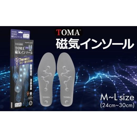 ふるさと納税 雑貨・日用品 大阪府 泉佐野市 スピード発送 TOMA磁気インソールM〜Lsize(24cm〜30cm)