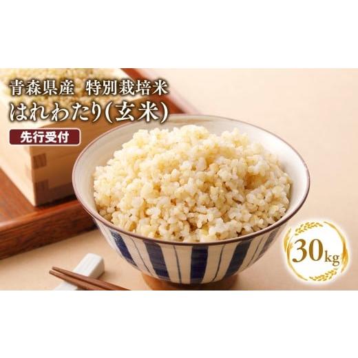 ふるさと納税 玄米 青森県 平川市 令和8年産 先行予約 11月中旬よりお届け 特別栽培米 はれわたり玄米30kg(10kg×3袋) 青森県 平川市 先行予約 米 お米 玄…