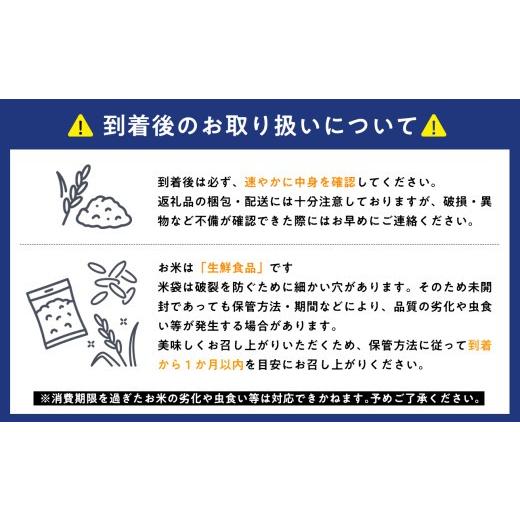 ふるさと納税 玄米 青森県 平川市 寄附金額を見直しました 令和8年産 先行予約 11月中旬よりお届け 　特別栽培米 はれわたり玄米30kg(10kg×3袋) 青森県 平川…