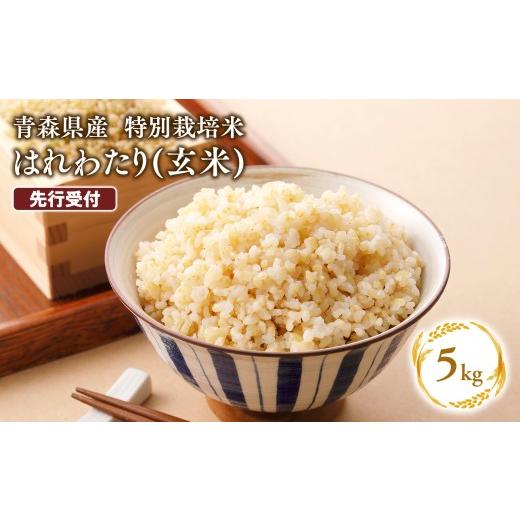 ふるさと納税 玄米 青森県 平川市 令和8年産 先行予約 11月中旬よりお届け 特別栽培米 はれわたり玄米5kg 11月配送 玄米5kg|寄附金額:12,000円