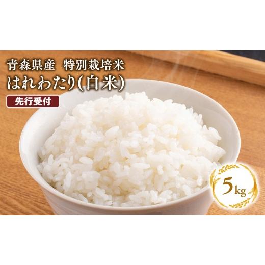 ふるさと納税 米 青森県 平川市 令和8年産 先行予約 11月中旬よりお届け 特別栽培米 はれわたり白米5kg 11月配送 白米5kg|寄附金額:13,000円