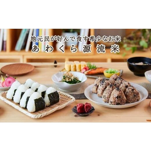 ふるさと納税 米 コシヒカリ 岡山県 西粟倉村  令和8年産新米・先行予約 3回定期便 あわくら源流米 コシヒカリ 白米 10kg｜西粟倉村産・昼夜寒暖差が育む甘み…の画像